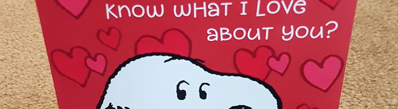 cropped image snoopy's head, what do I love about you wording